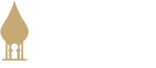 Bank of Tampa mobile logo
